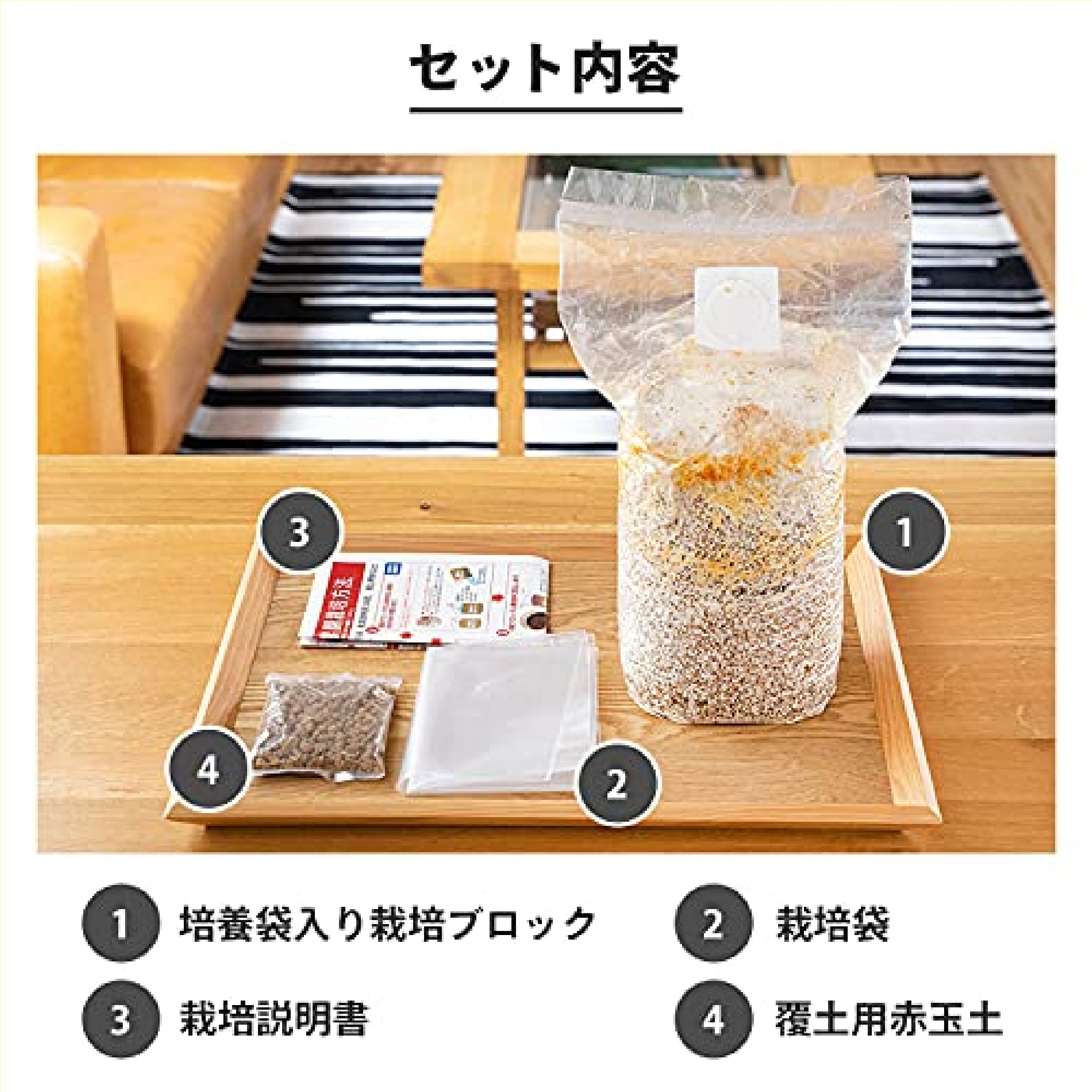 もりのなめこ農園 栽培キット
