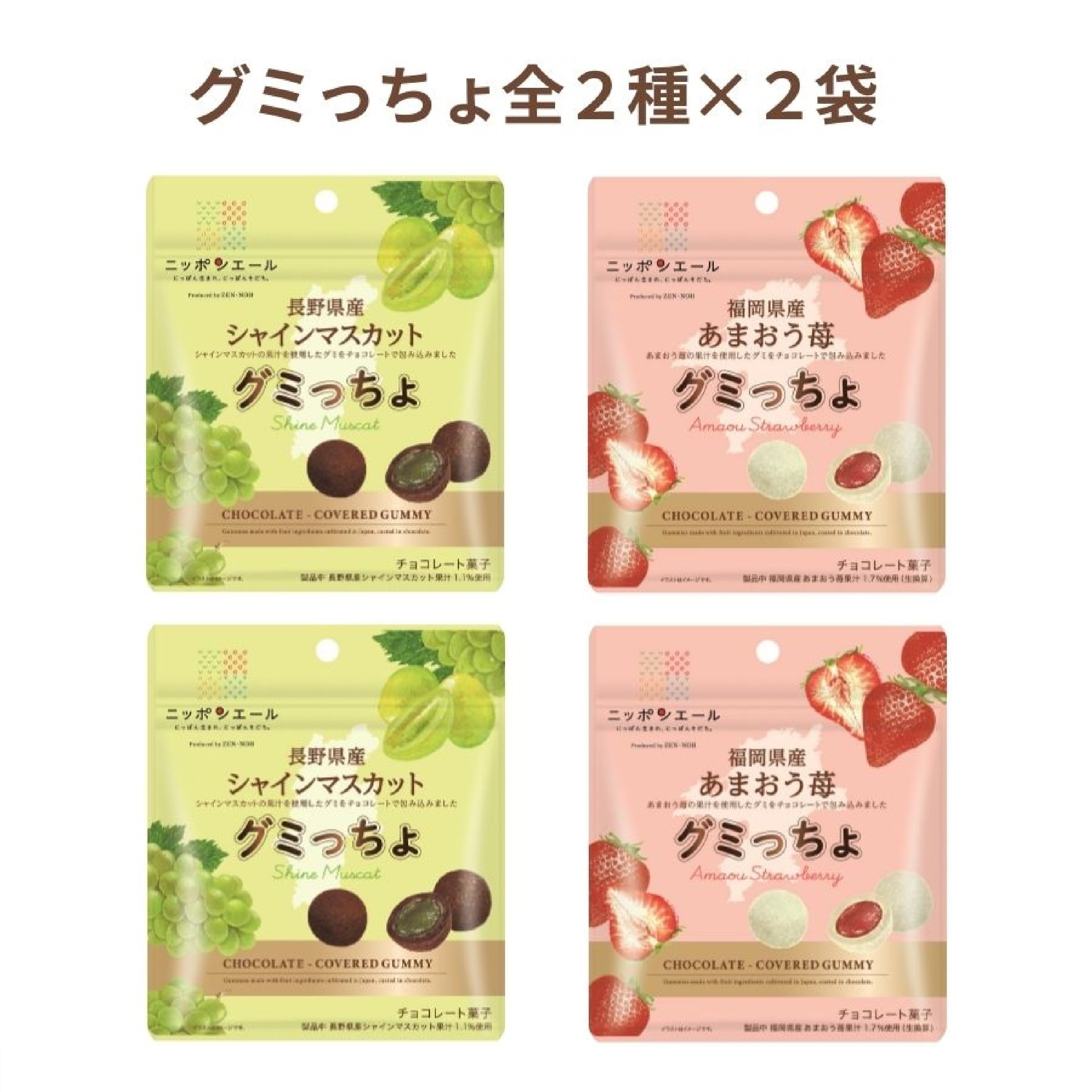 ニッポンエール グミっちょ&ジュレショコラセット（5種類）