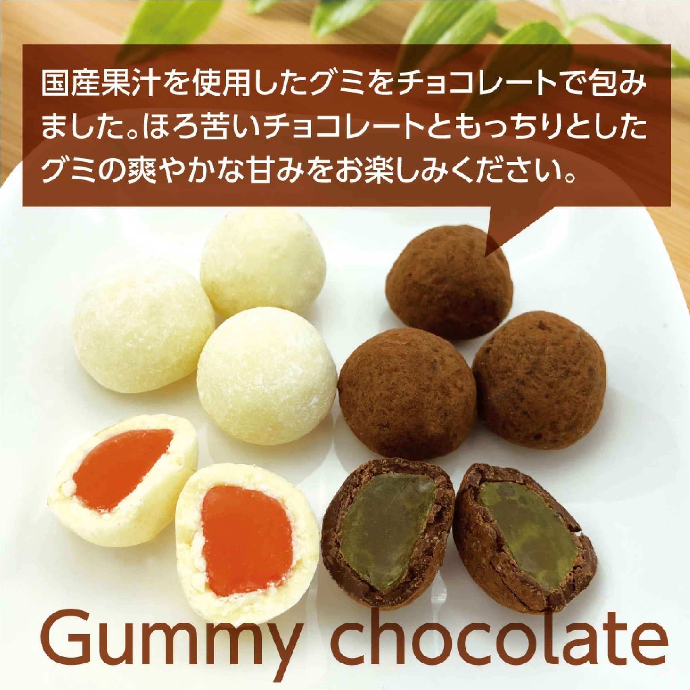 ニッポンエール グミっちょ&ジュレショコラセット（5種類）