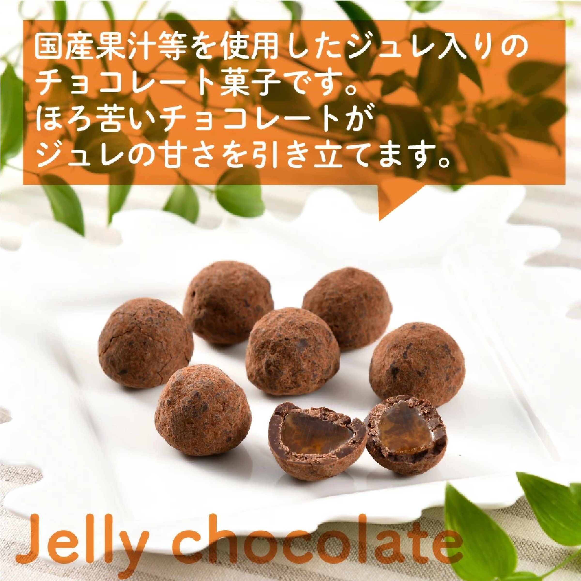 ニッポンエール グミっちょ&ジュレショコラセット（5種類）