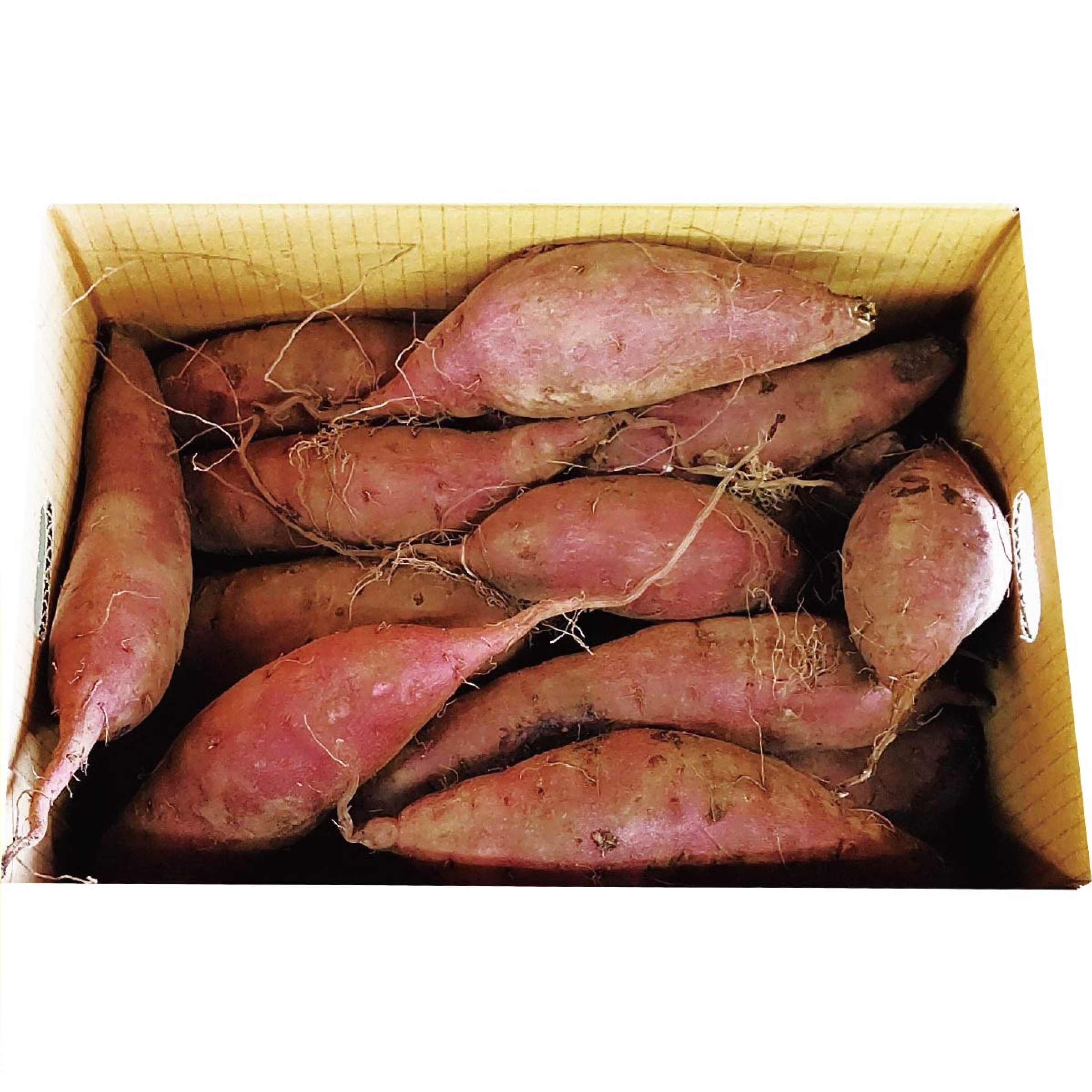 熊本県産 紅はるか 2kg ※12月中旬出荷予定