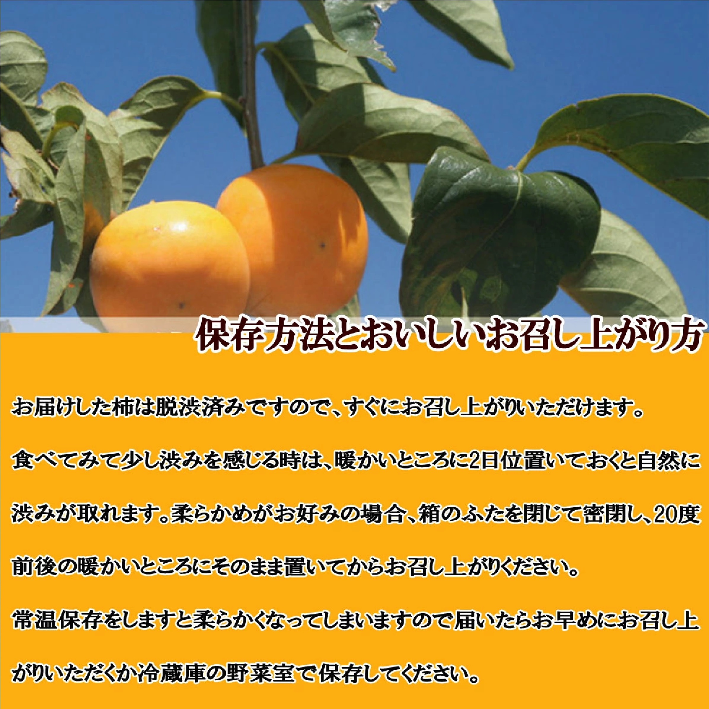 山形県産 庄内柿  訳あり 約５キロ ※11月上旬以降発送