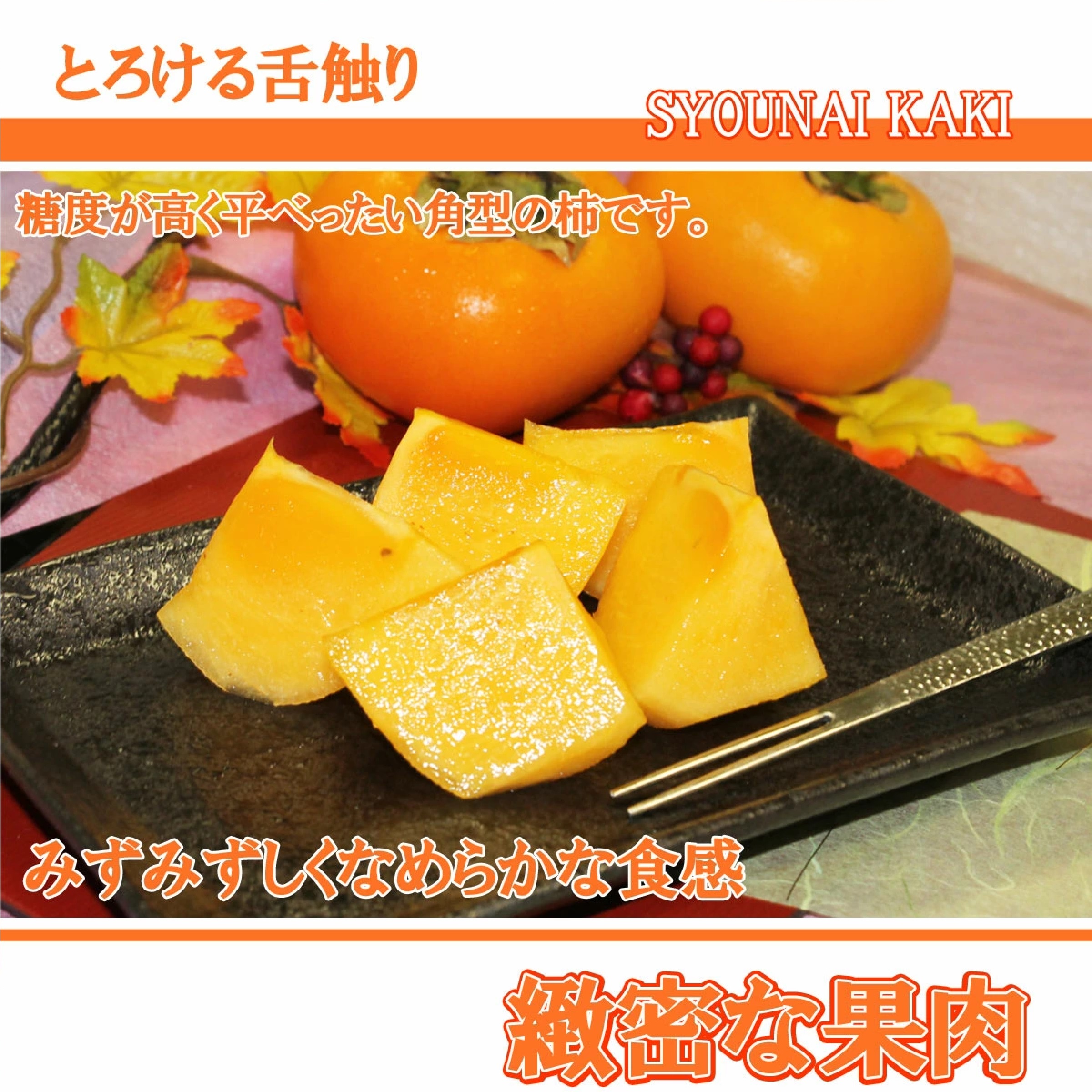 山形県産 庄内柿  訳あり 約５キロ ※11月上旬以降発送