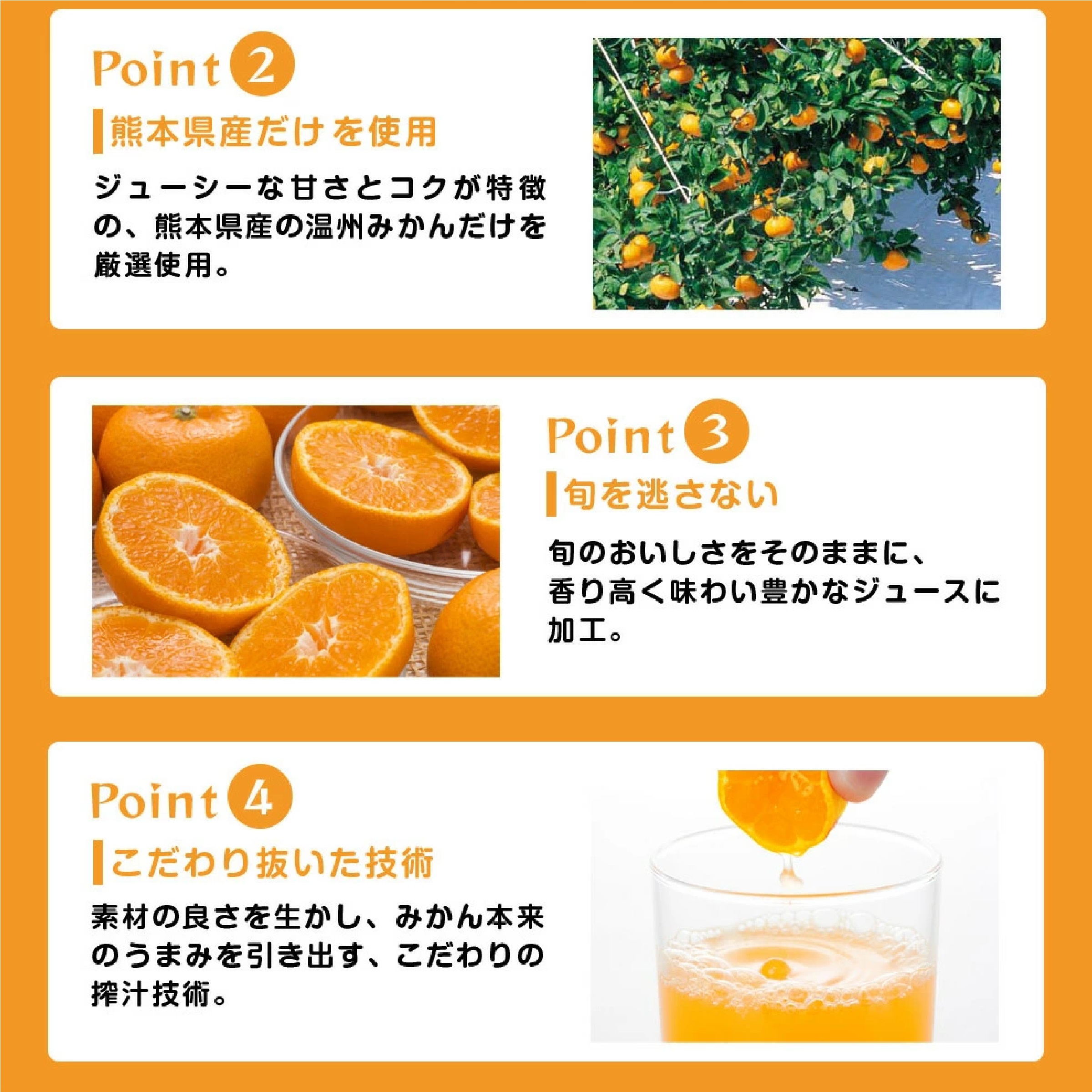 ジューシー 熊本みかんストレート100％【200ml×24本入】