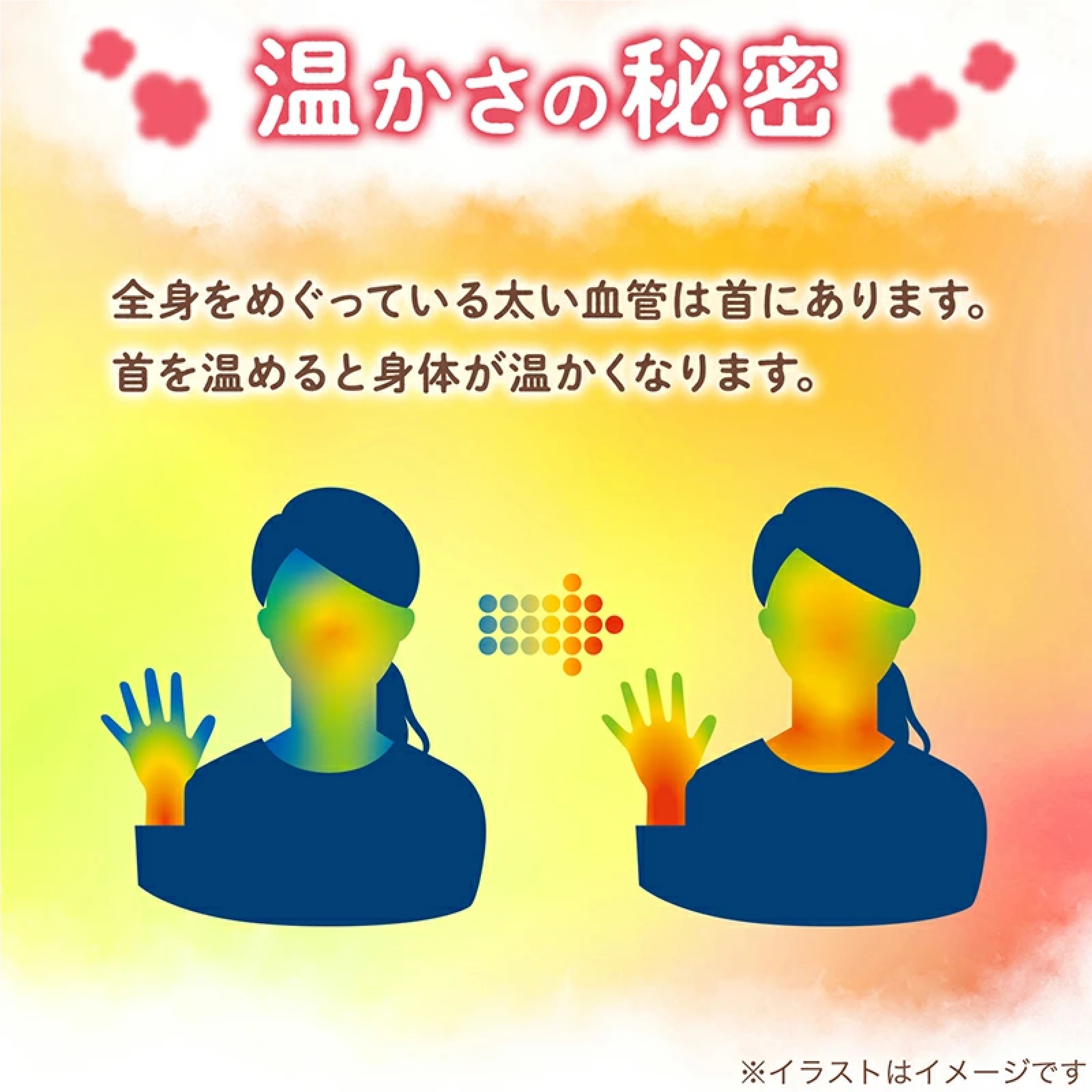 温めぐり かけぽか 10個入