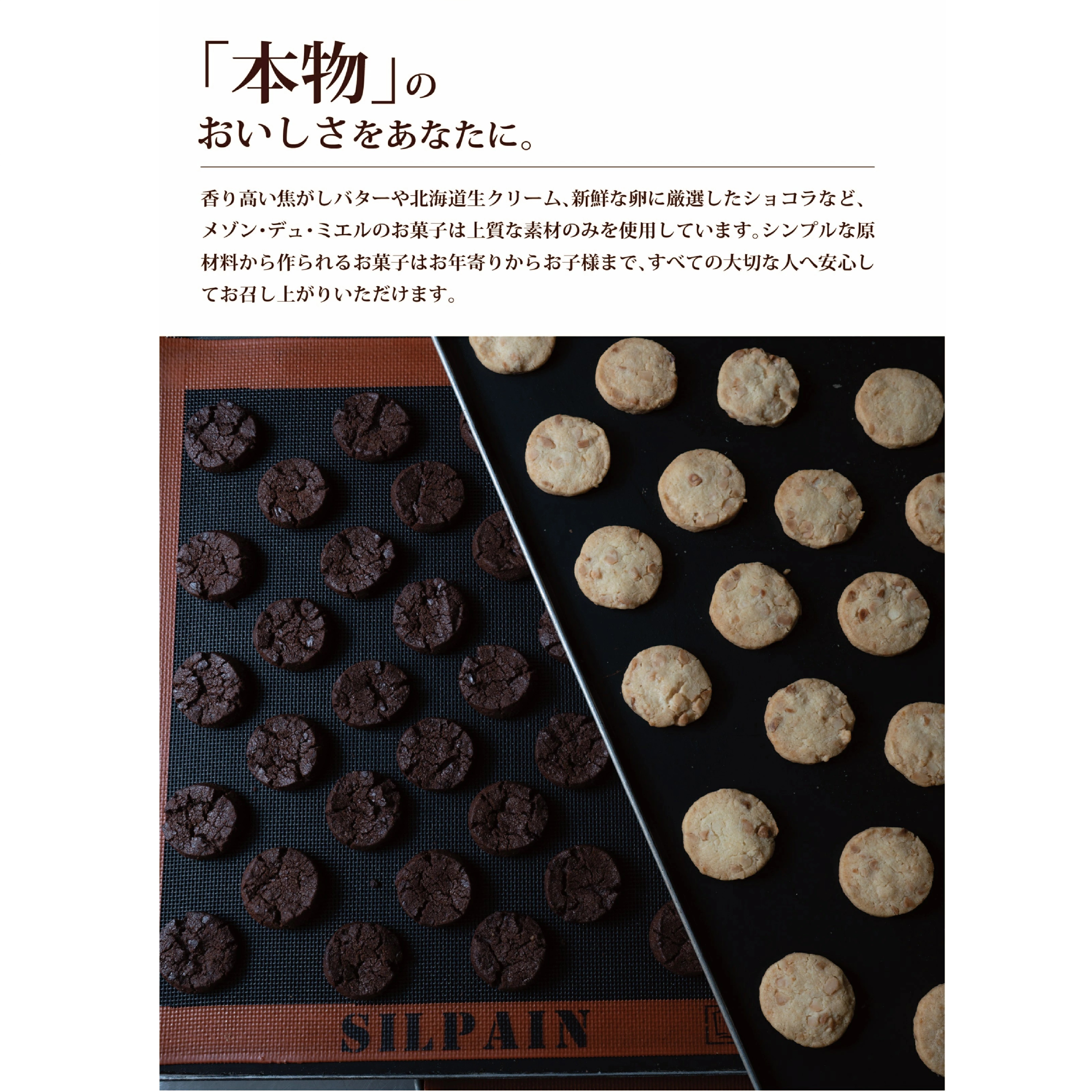 メゾン・デュ・ミエル　猫のサブレ缶