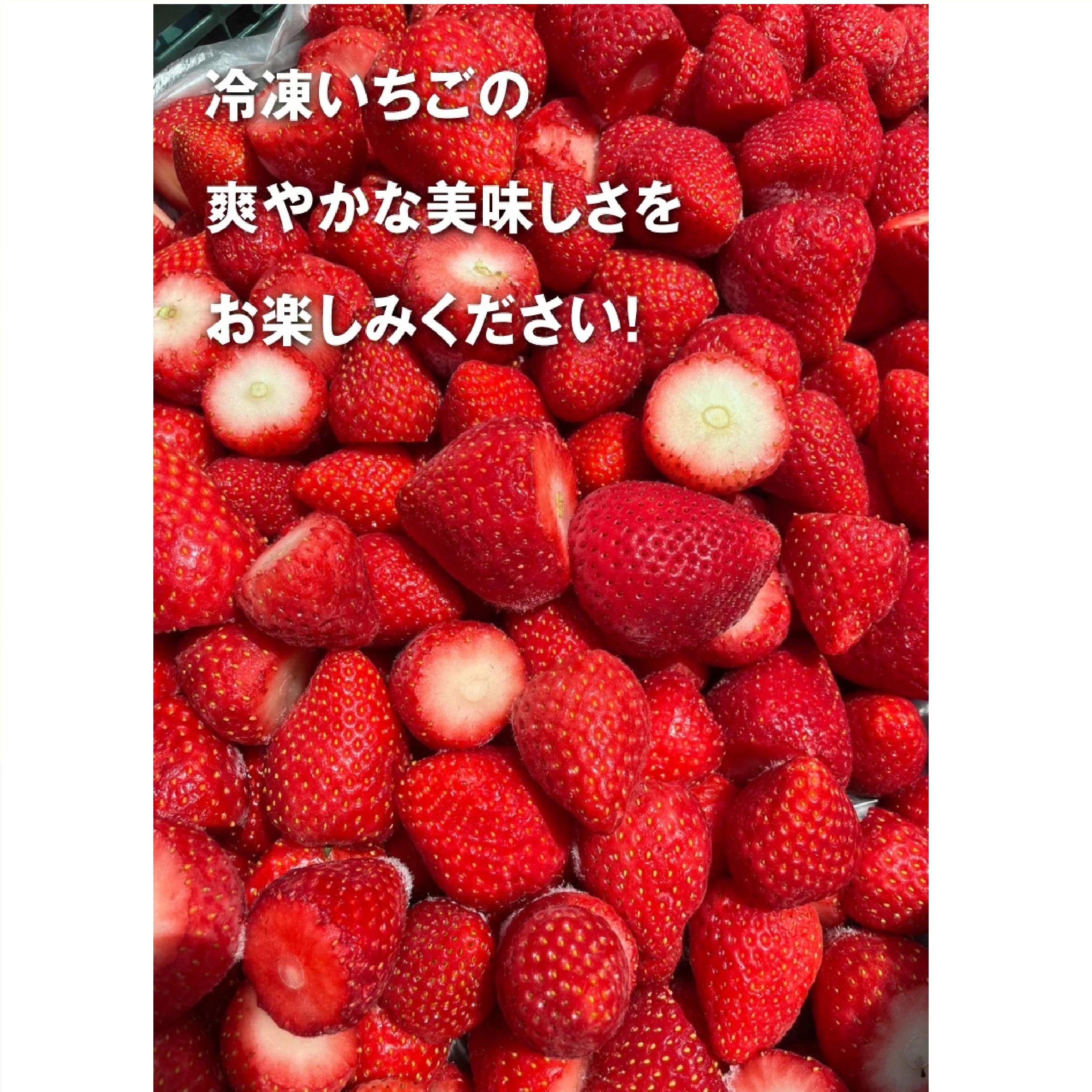 栃木県産 冷凍いちご 1kg  (とちあいか)