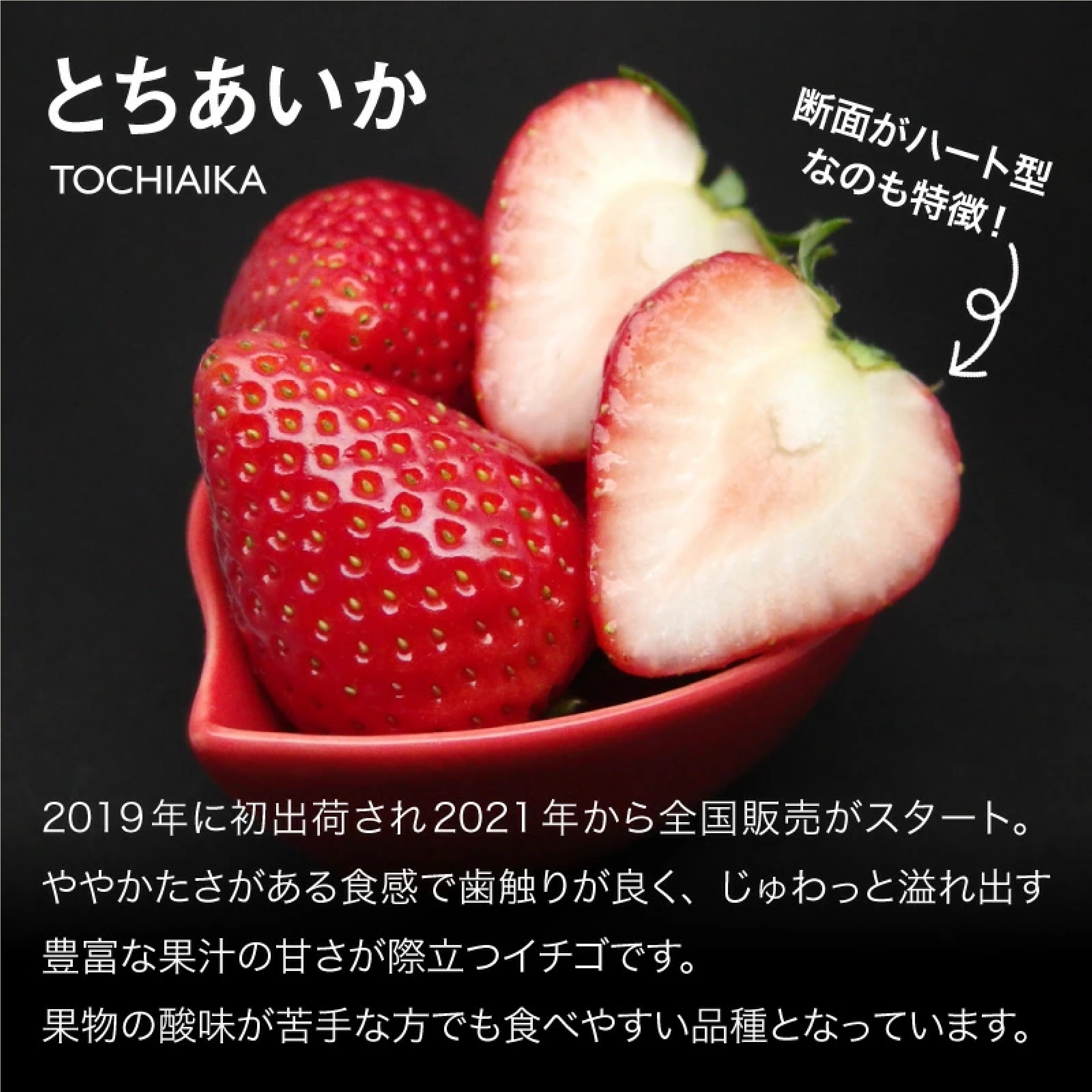 栃木県産 冷凍いちご 1kg  (とちあいか)