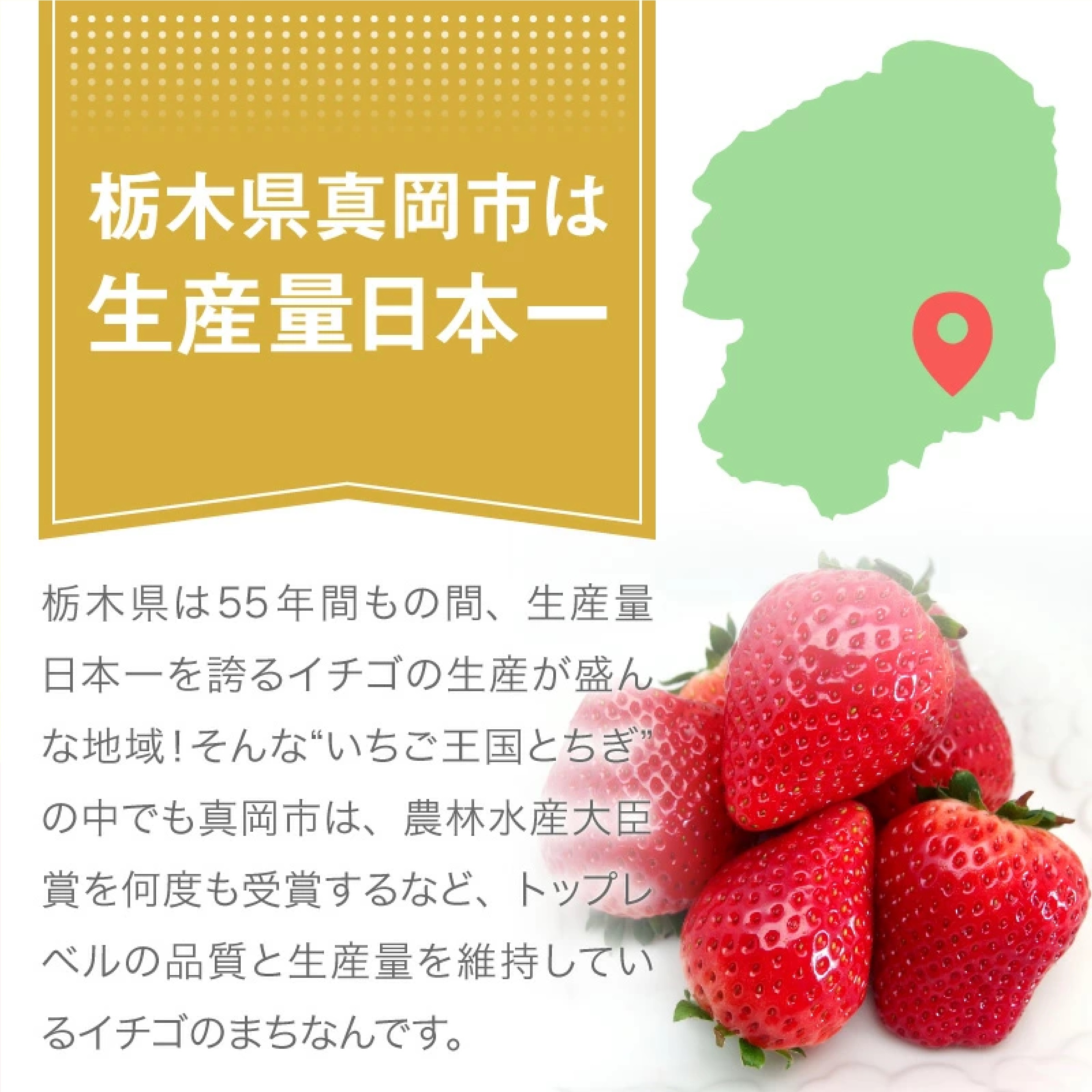 栃木県産 冷凍いちご 1kg  (とちあいか)