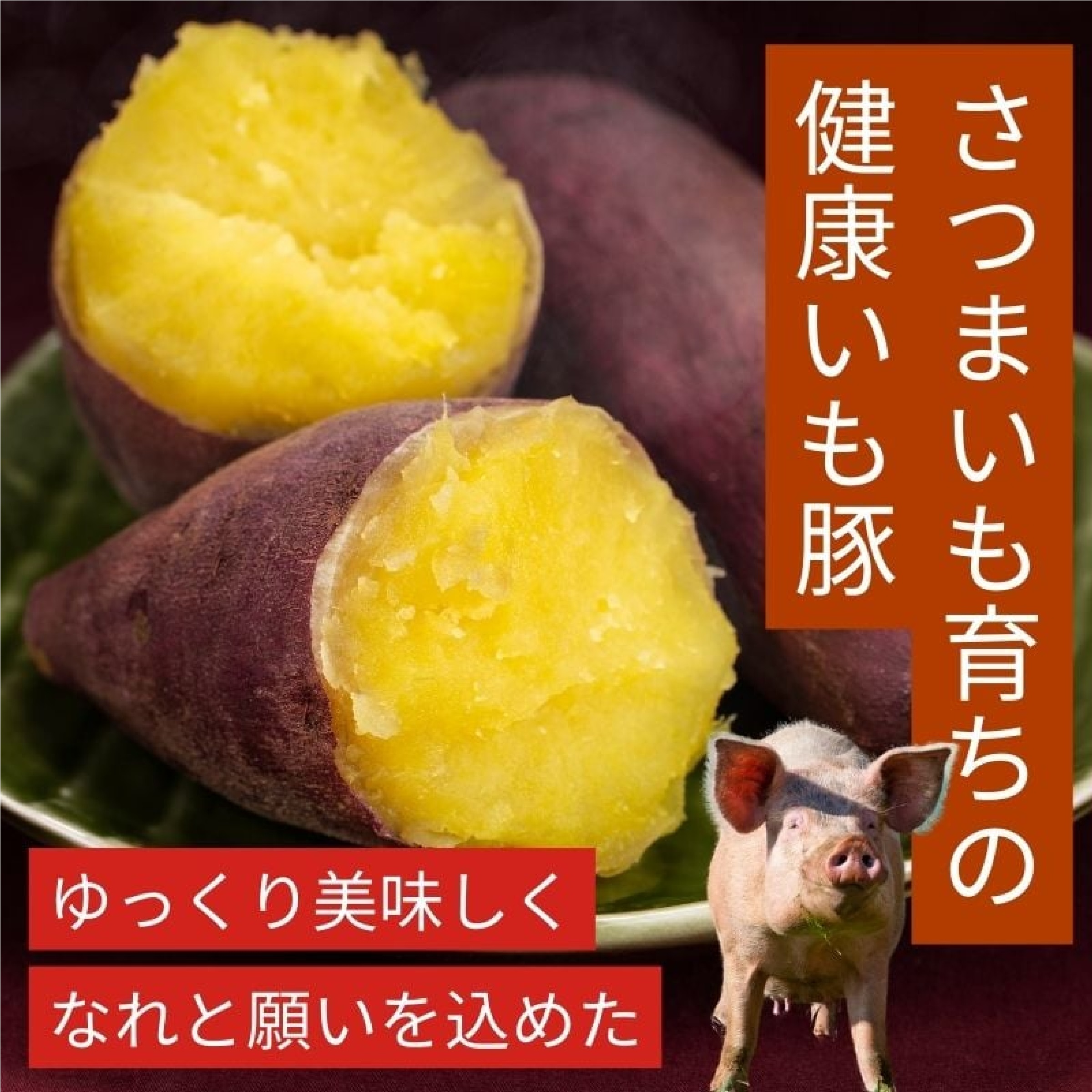 いも豚 コマ肉 300g×4パック