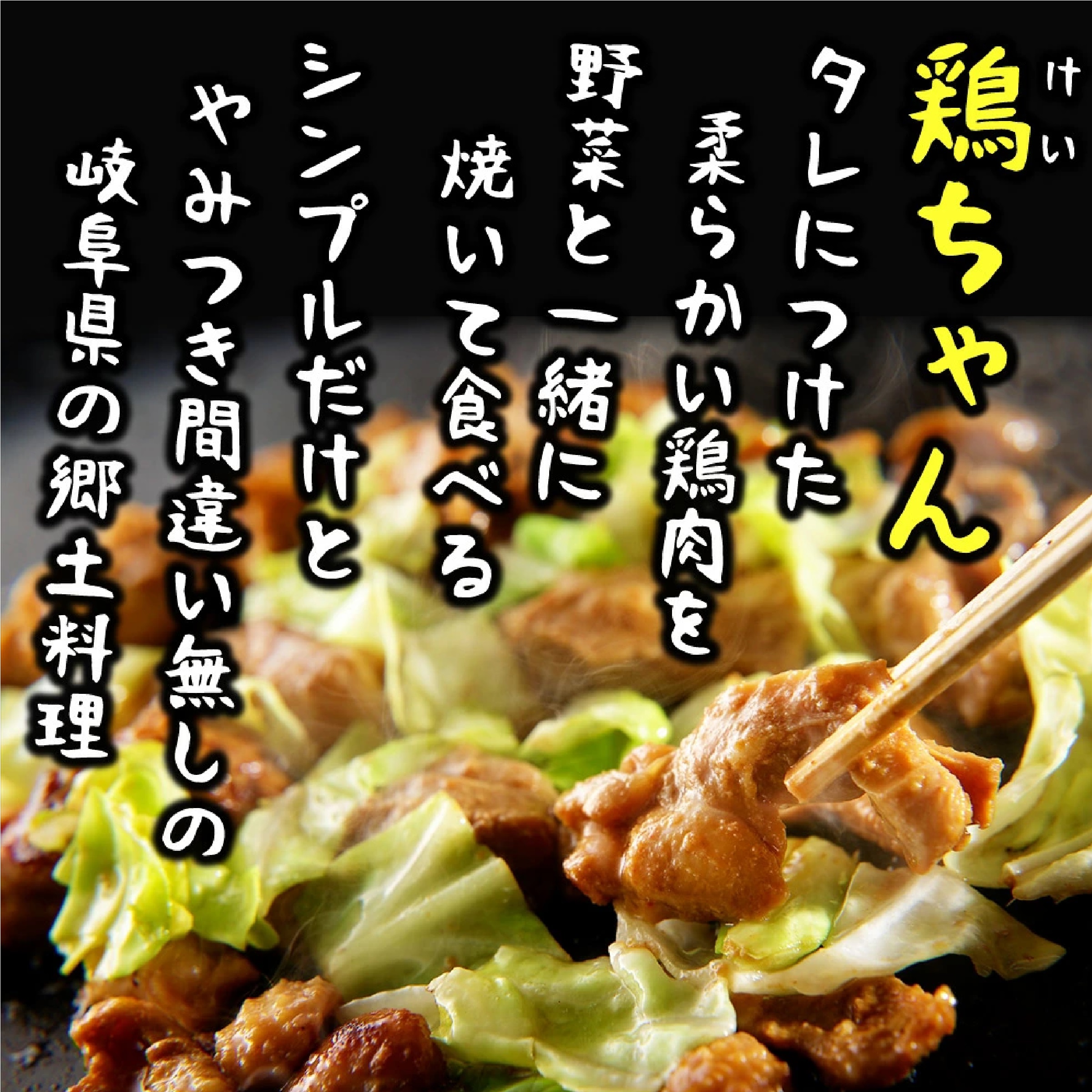 鶏ちゃん 人気5種 計5袋 食べ比べ セット