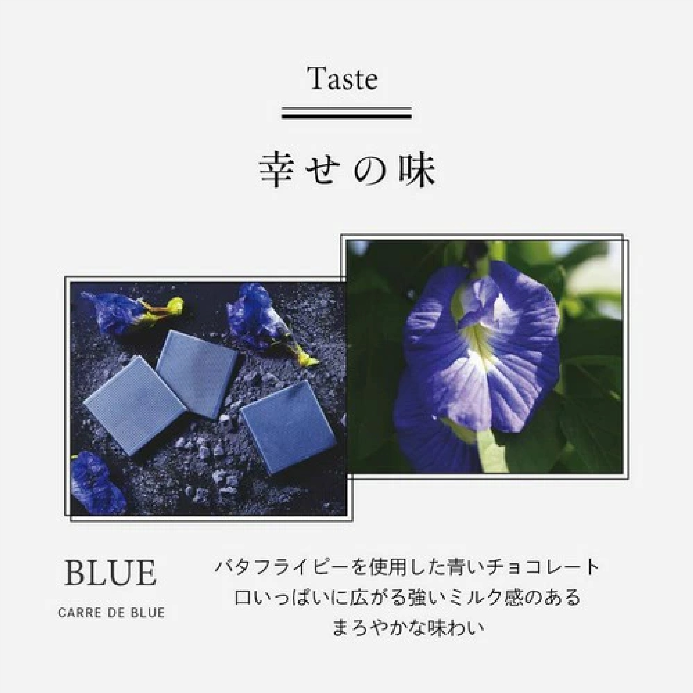 CARRE DE ４ COLORS Bouquet 幸せの4色チョコレート