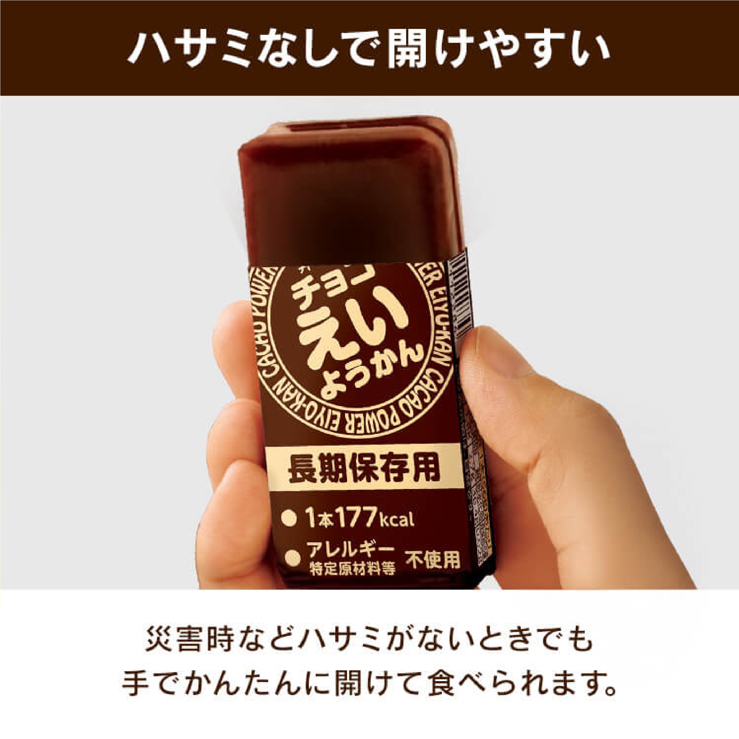 チョコえいようかん 長期保存 5箱 セット