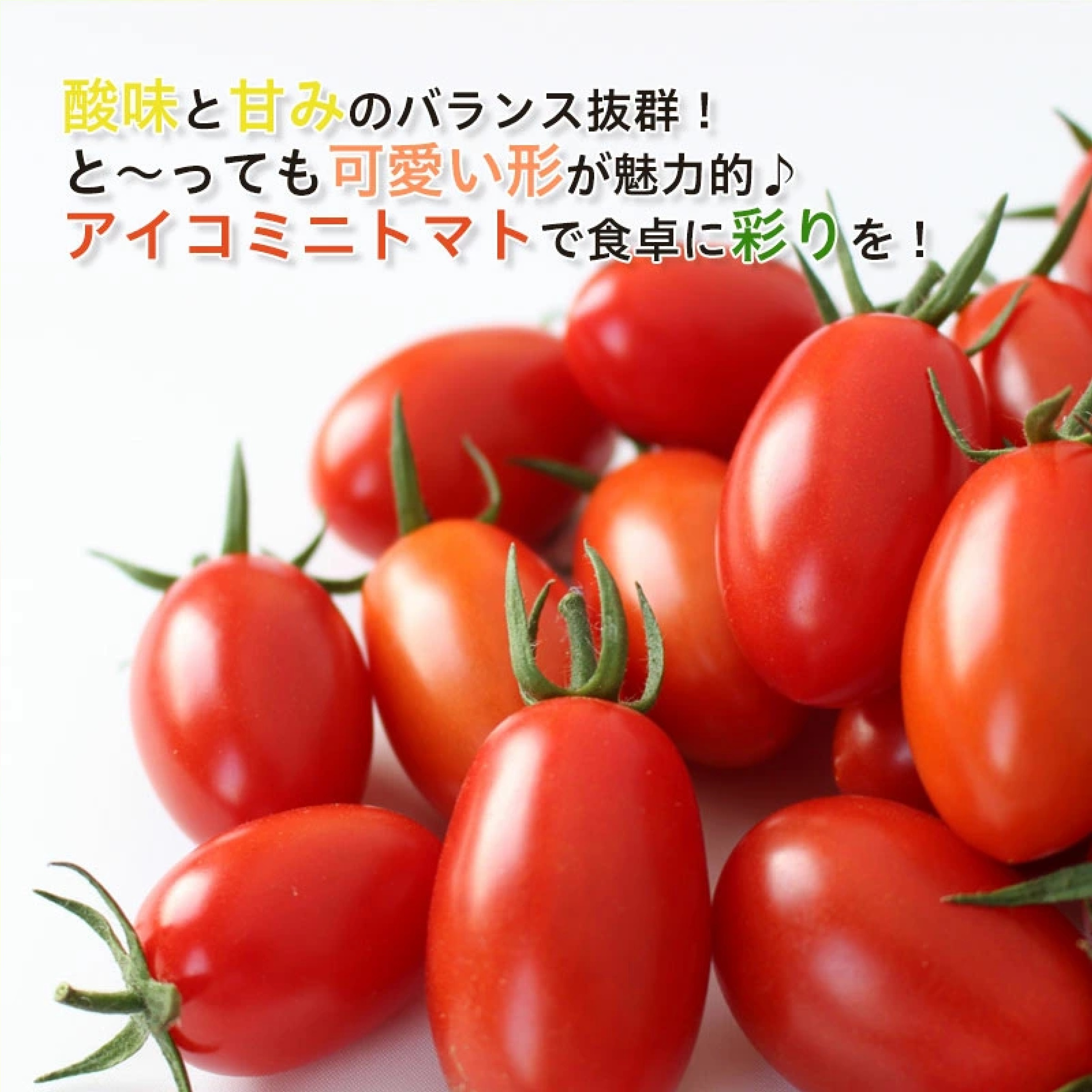 アイコミニトマト 1kg