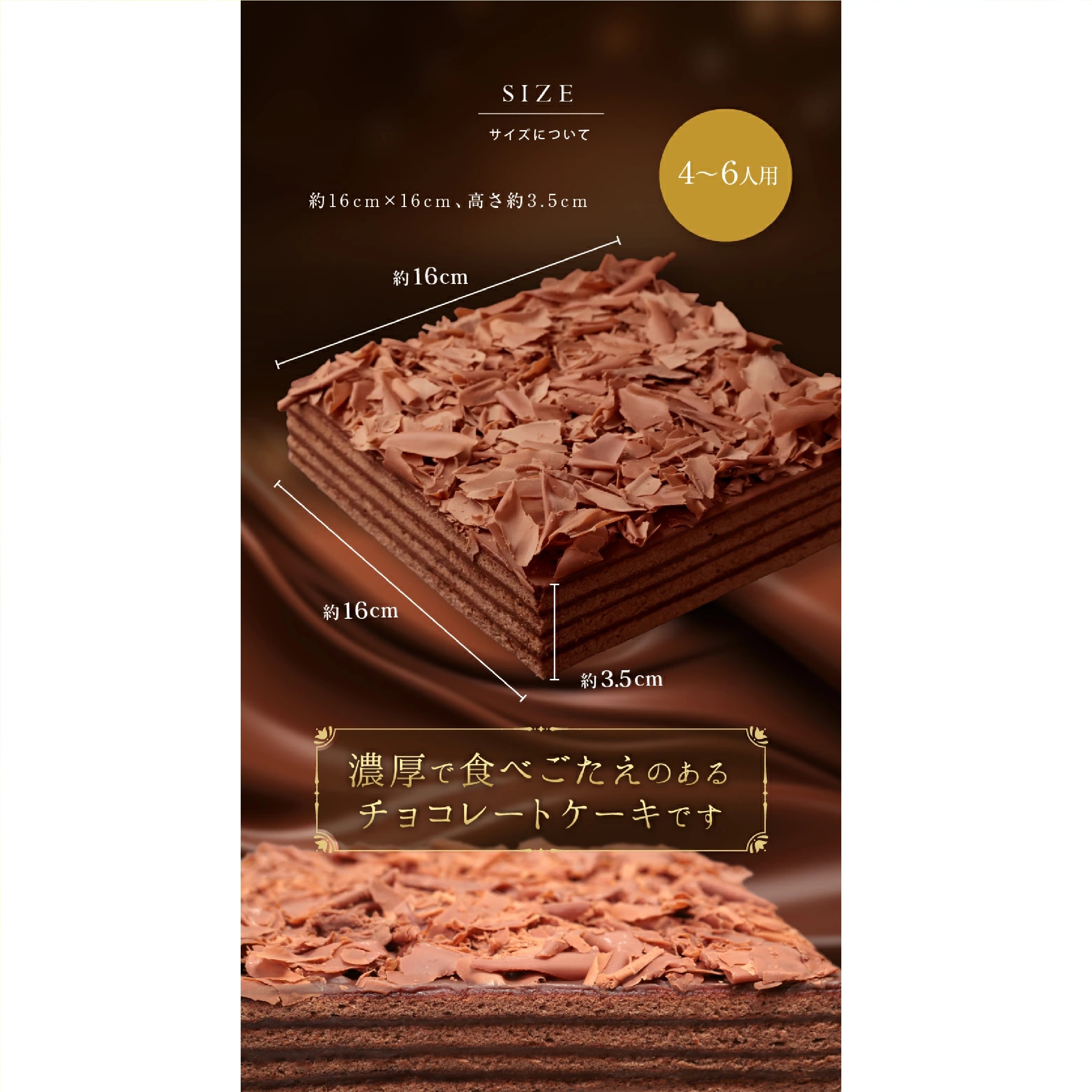 フランソワ ボヌール・カレ チョコレートケーキ