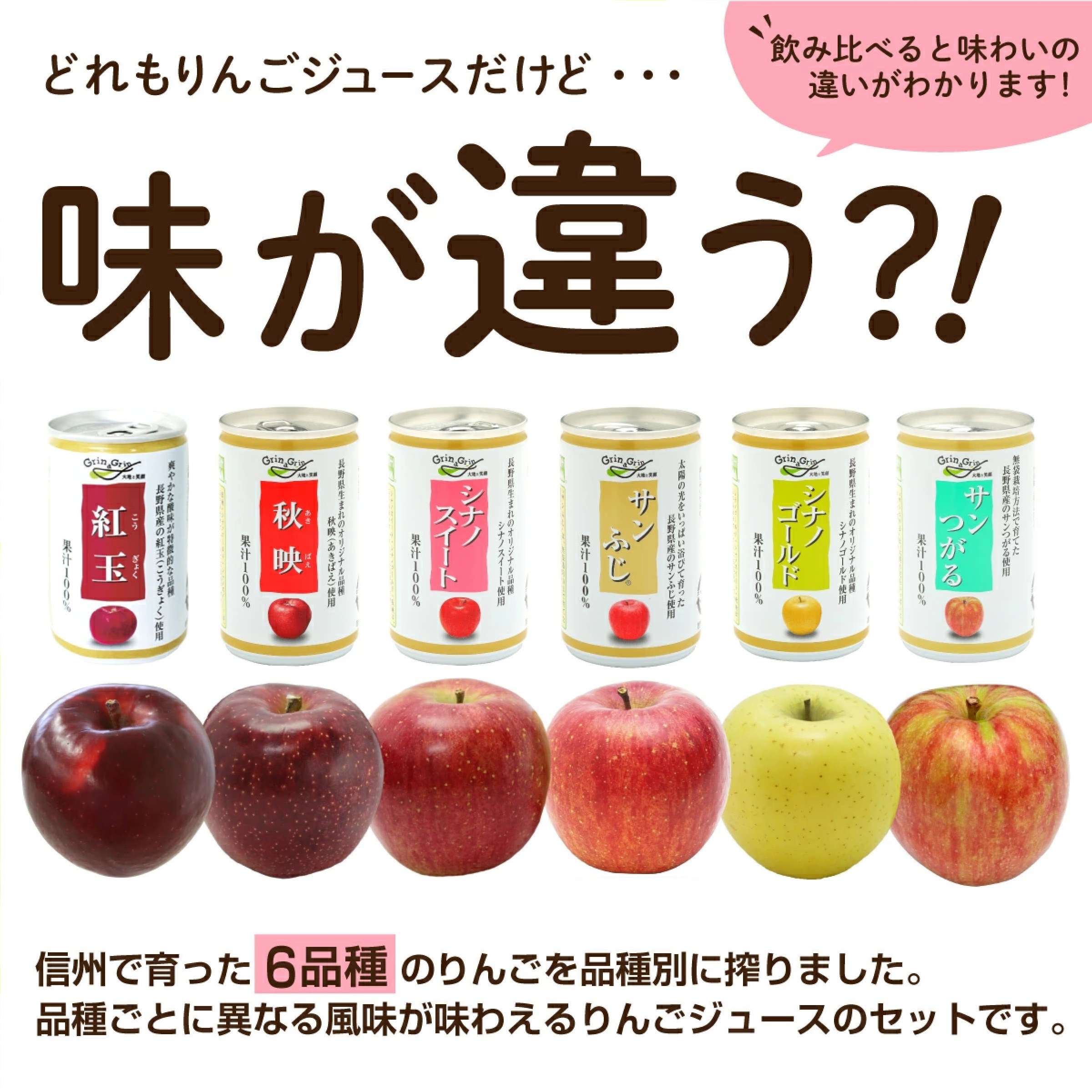 信州りんごジュース 18本