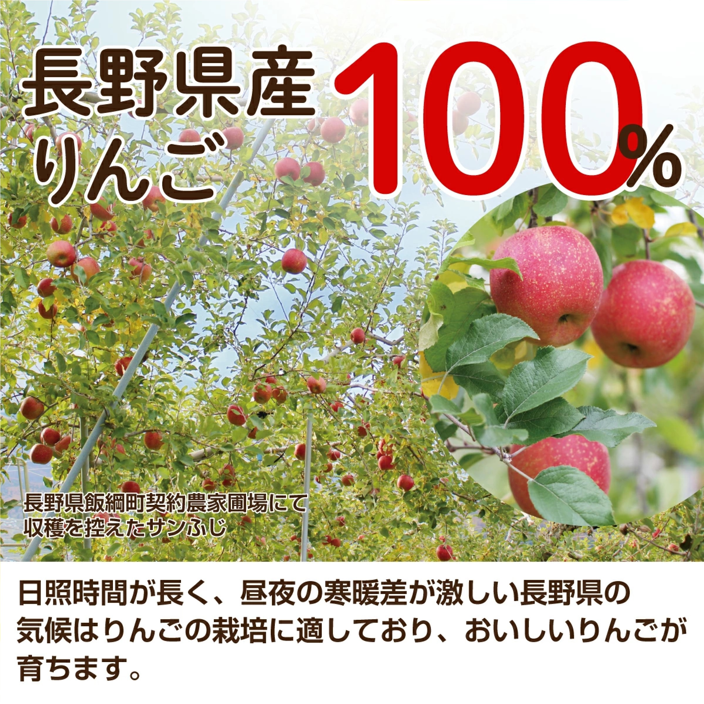 信州りんごジュース 18本