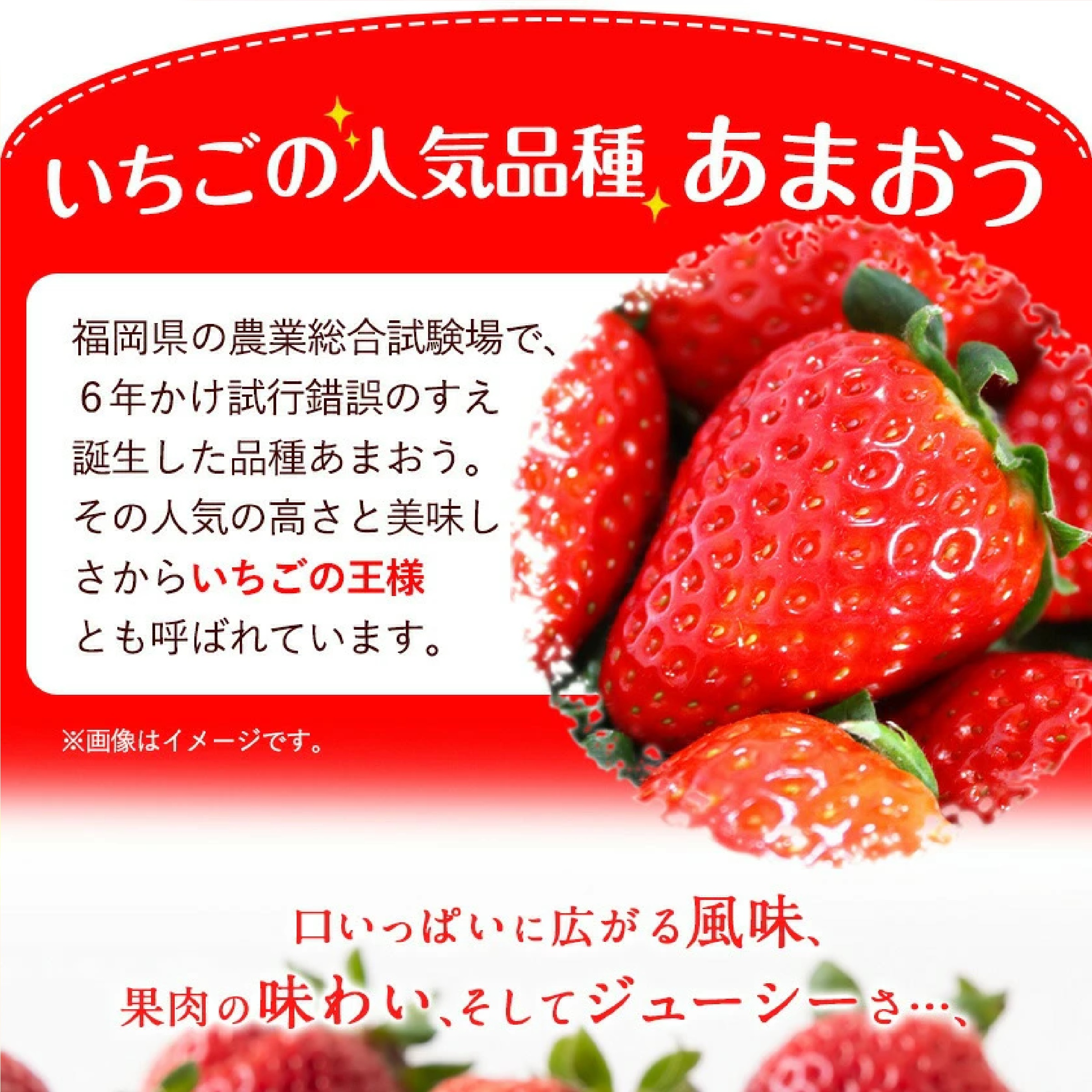 あまおう 約540g(約270g×2パック)