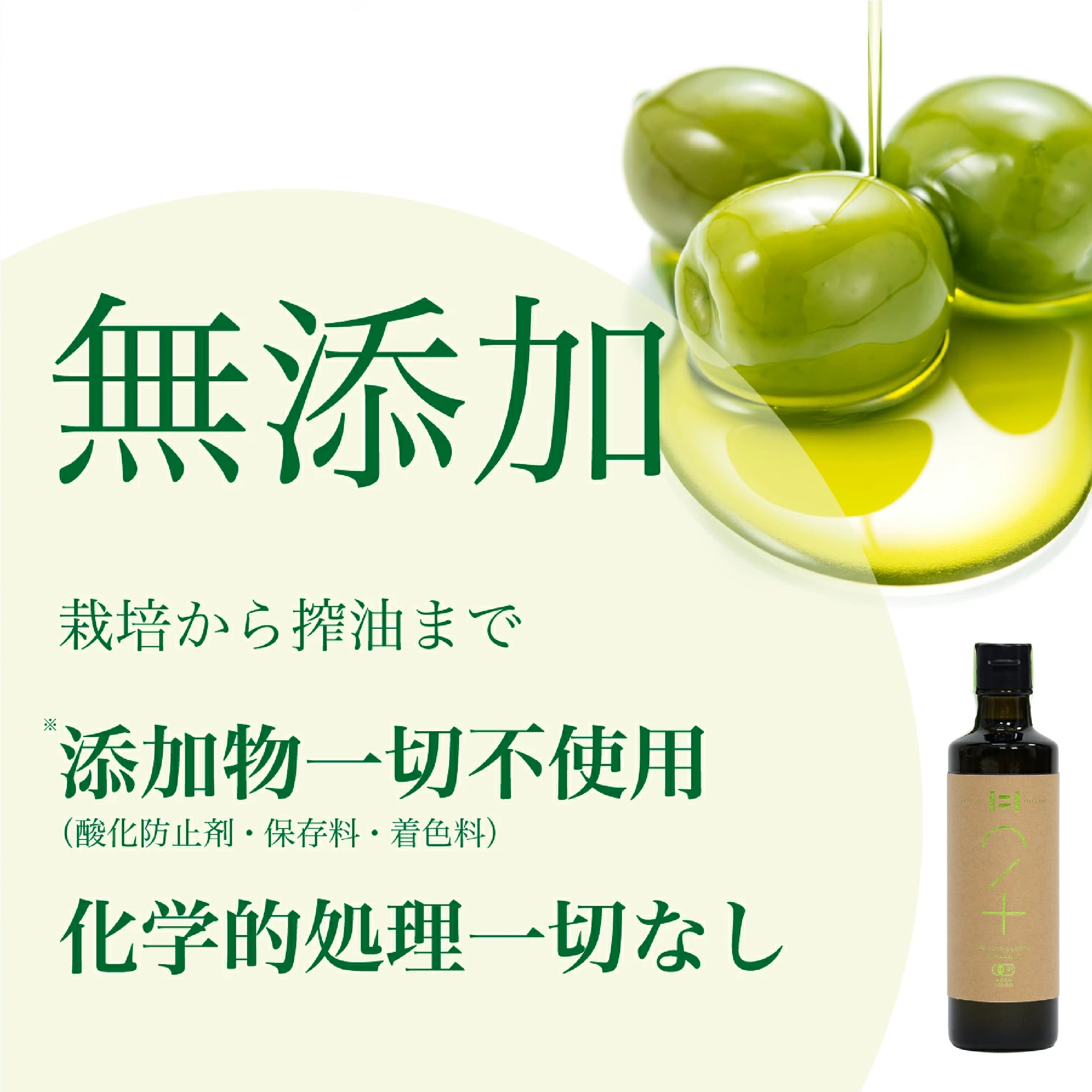 肥後製油 有機オリーブオイル