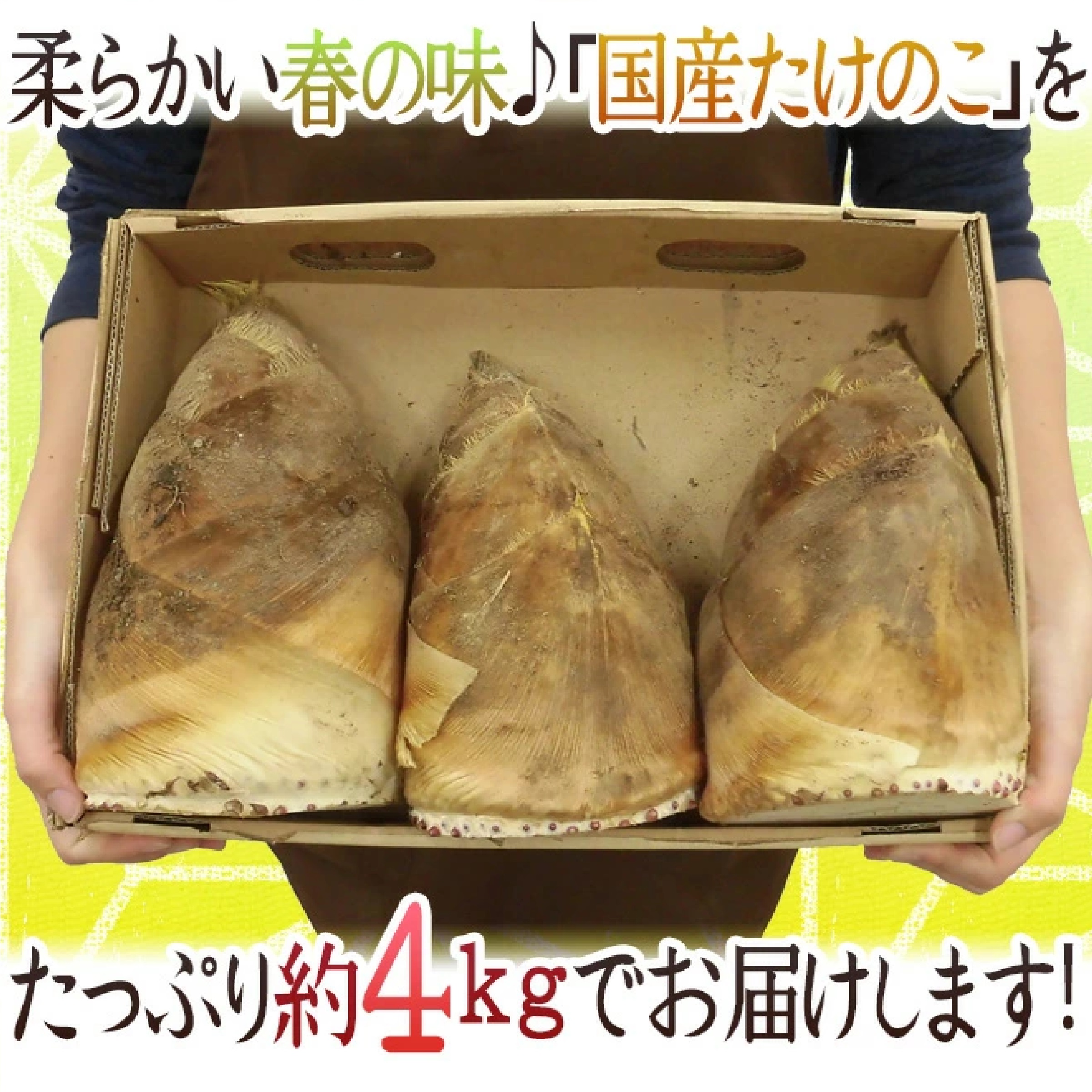西日本産 新たけのこ 約4kg(訳あり・大きさおまかせ)  