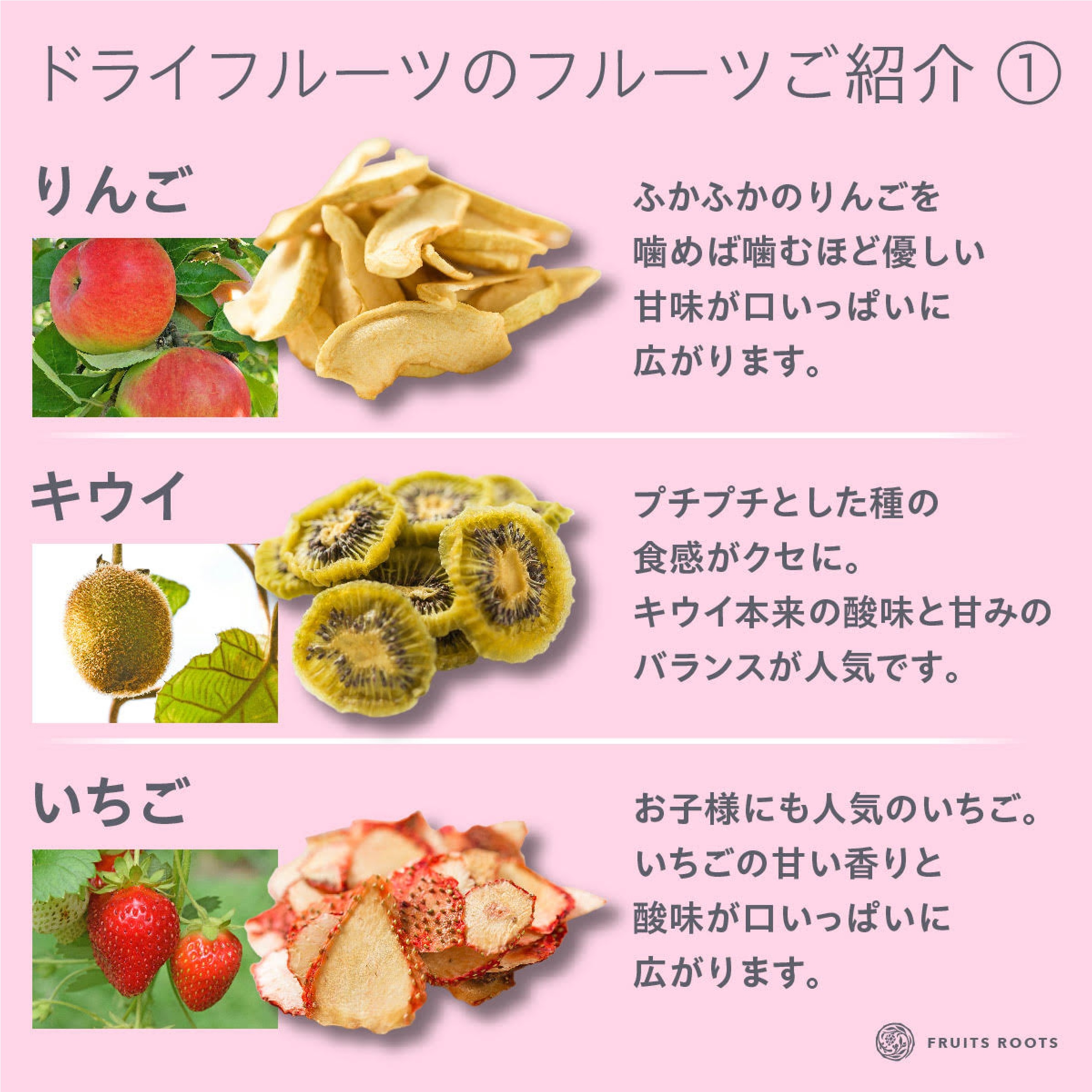 国産無添加ドライフルーツ 初回食べ比べ９種セット（りんご/いちご/キウイ/イチジク/すもも/洋なし/梨/不知火/トマト）