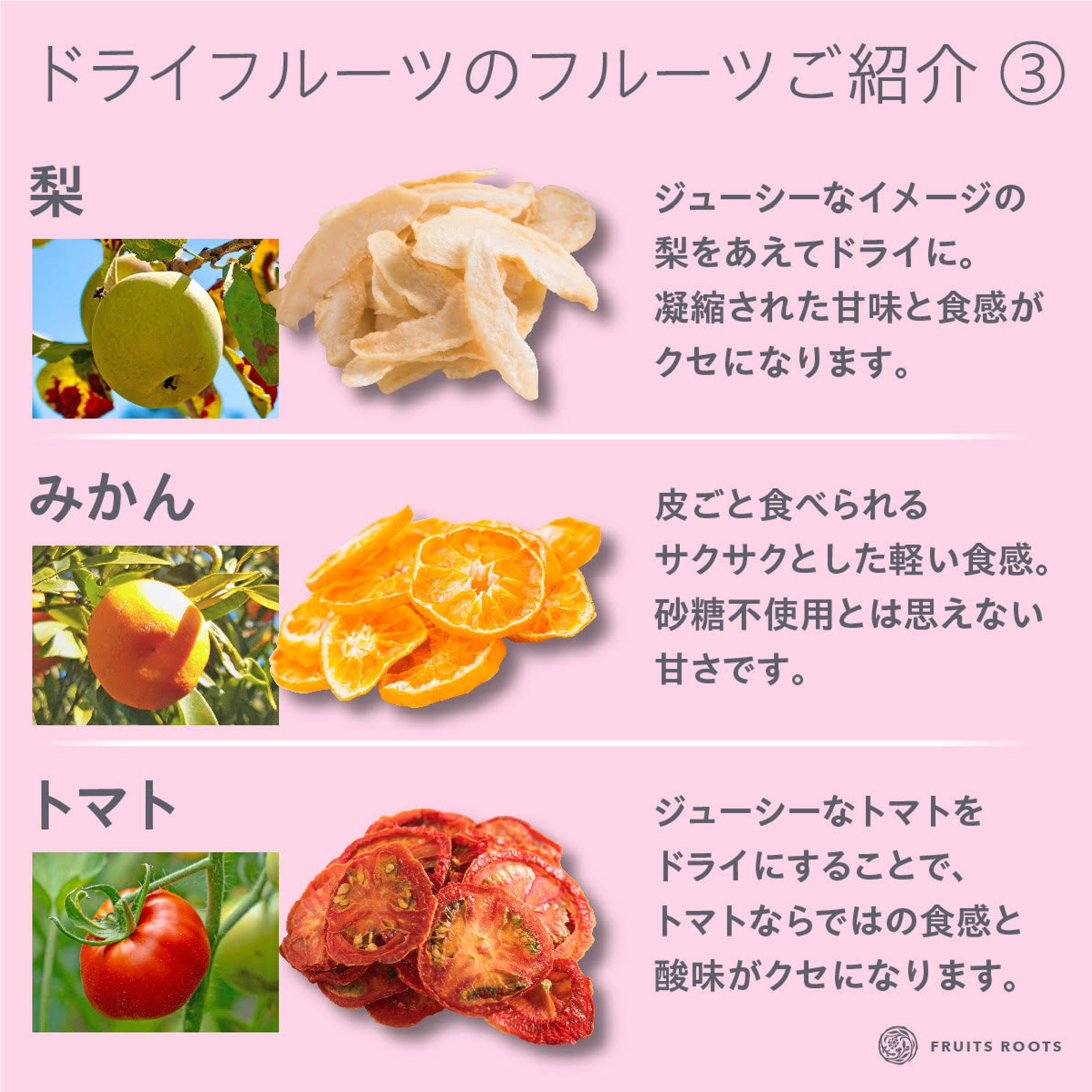 国産無添加ドライフルーツ 初回食べ比べ９種セット（りんご/いちご/キウイ/イチジク/すもも/洋なし/梨/不知火/トマト）