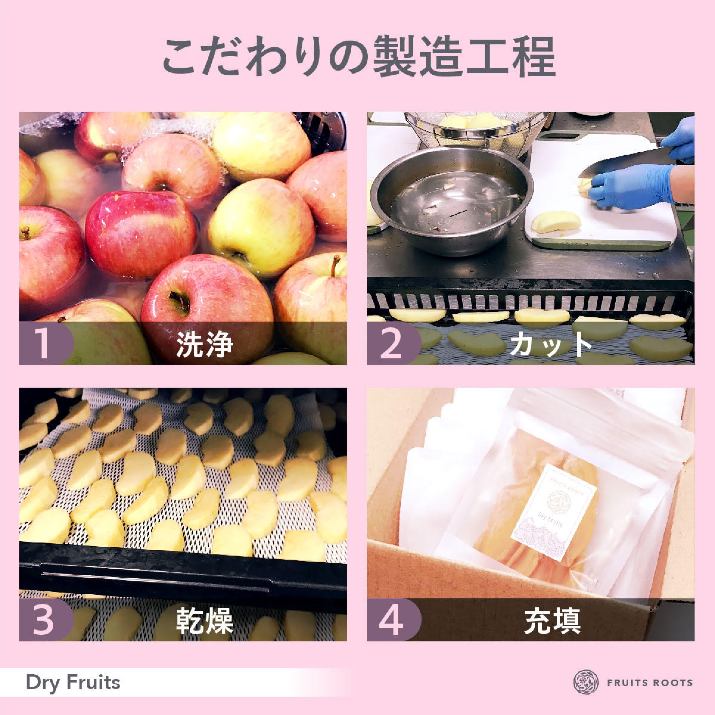 国産無添加ドライフルーツ 初回食べ比べ９種セット（りんご/いちご/キウイ/イチジク/すもも/洋なし/梨/不知火/トマト）