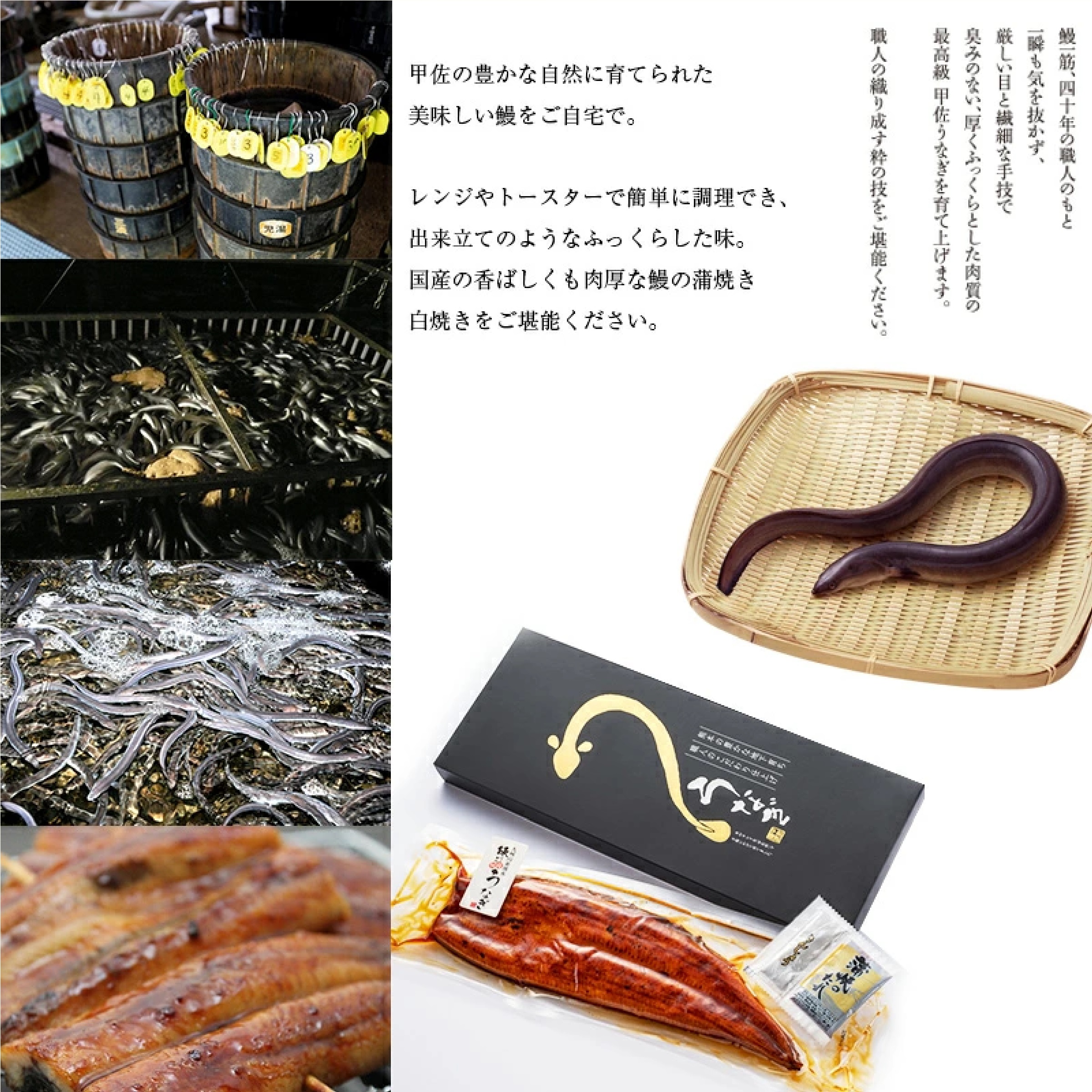 熊本産うなぎの蒲焼き１尾 （約145g前後＆蒲焼のタレ５個付）