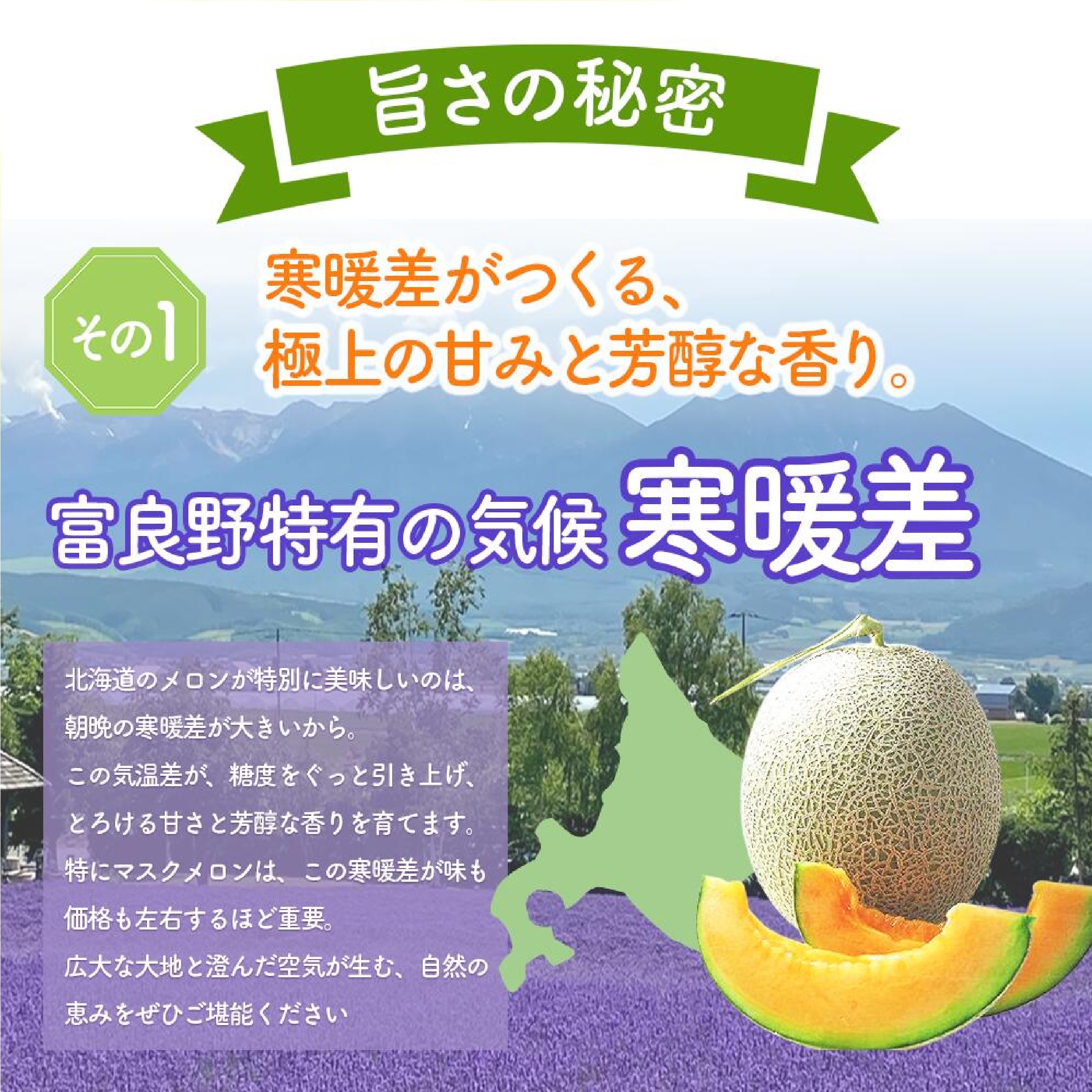 ふらのメロン 秀品2Lサイズ 1玉 ※５月下旬以降発送