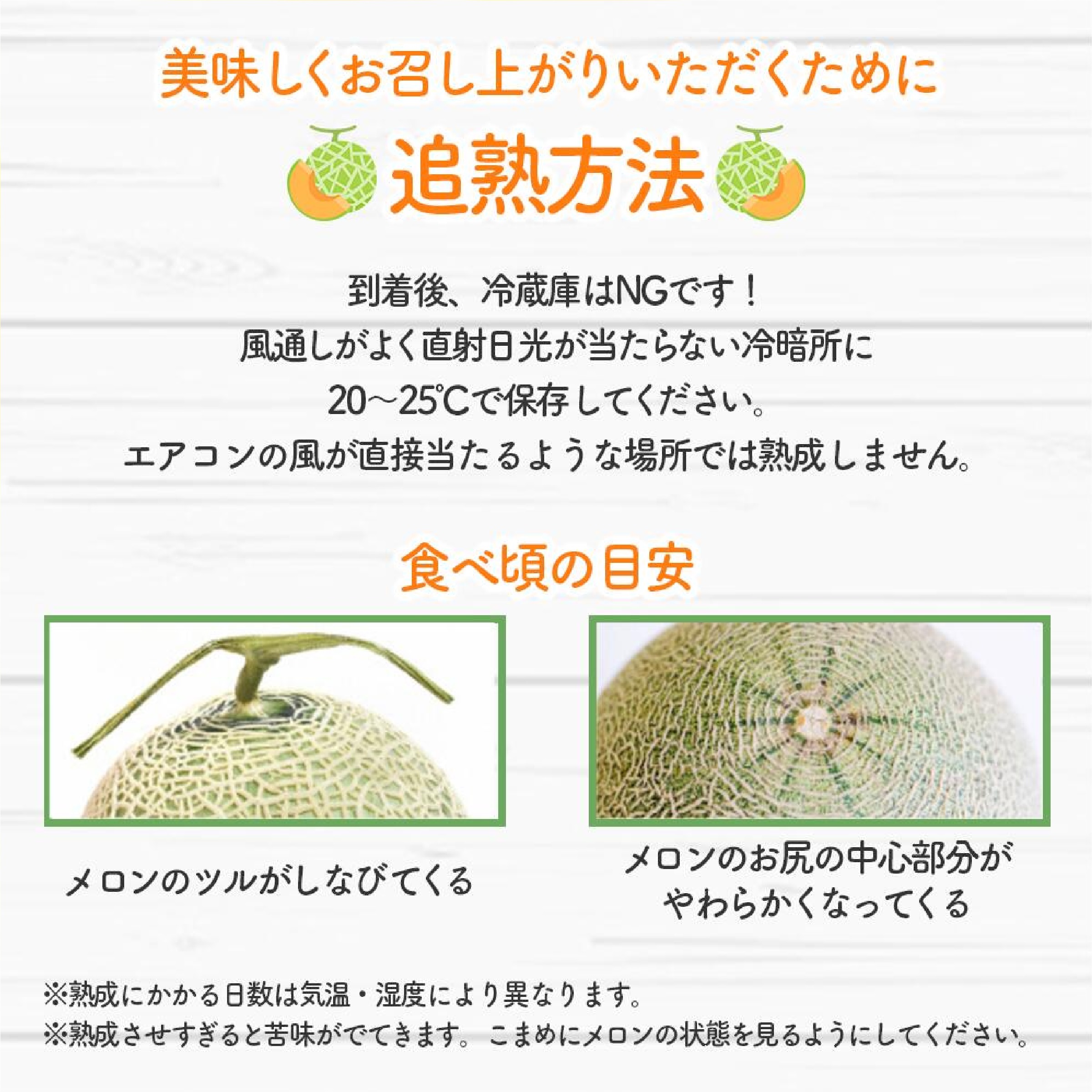 ふらのメロン 秀品2Lサイズ 1玉 ※５月下旬以降発送