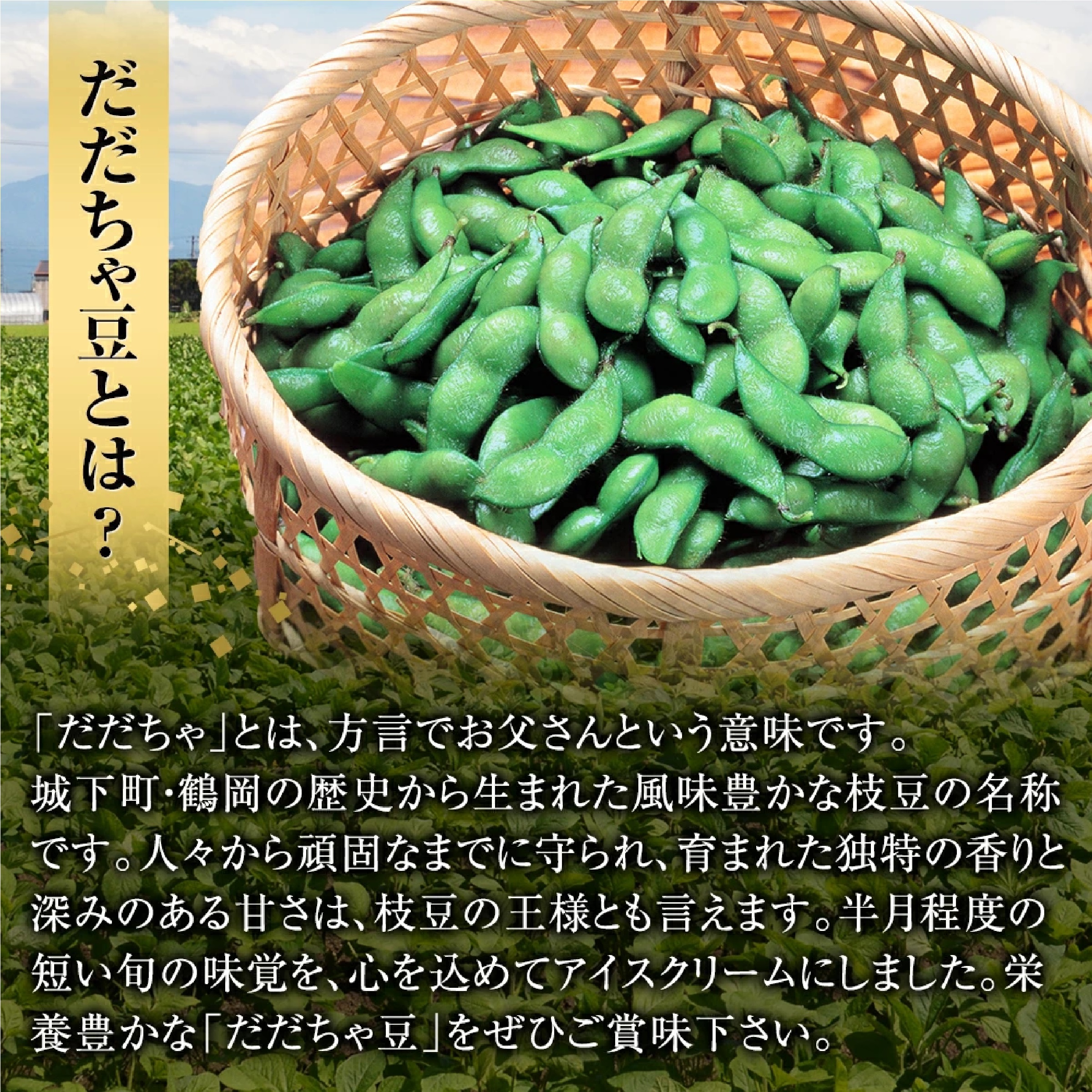 殿様のだだちゃ豆 アイスクリーム120ｍL 8個セット