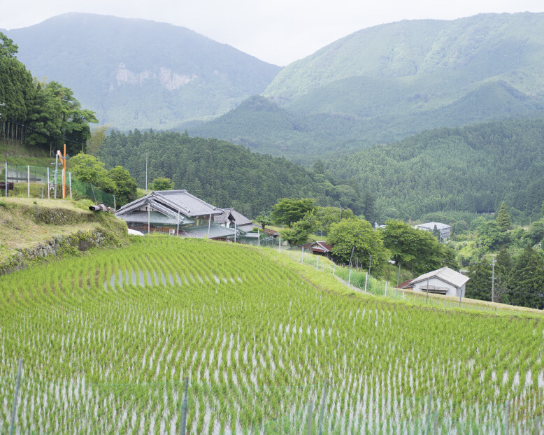 【奈良県産】曽爾米（5㎏）令和4年産特別栽培