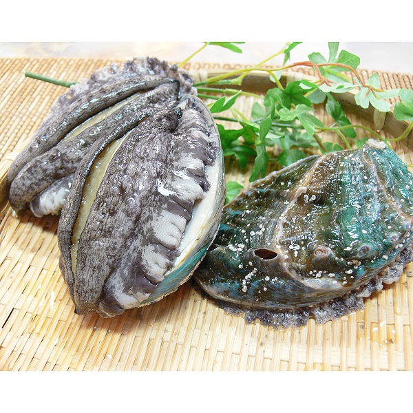 紀州アワビ むき身（約300g）和歌山県産 冷凍