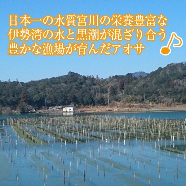【常温】青さ（アオサ）のり (三重県 伊勢 志摩産) 乾燥1袋/18gを2袋 。リアス式海岸が育む伊勢の名産のアオサ！