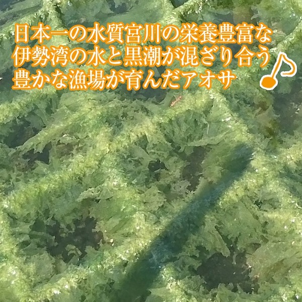 【常温】青さ（アオサ）のり (三重県 伊勢 志摩産) 乾燥1袋/18gを2袋 。リアス式海岸が育む伊勢の名産のアオサ！