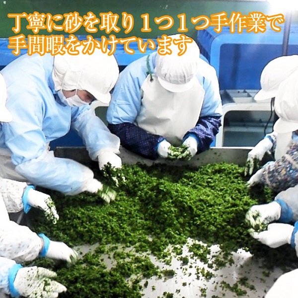 【常温】青さ（アオサ）のり (三重県 伊勢 志摩産) 乾燥1袋/18gを2袋 。リアス式海岸が育む伊勢の名産のアオサ！