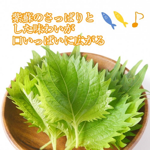 【常温】しそ風味ひじきごはん(半生ふりかけ)1袋/７0g 入を2袋。手作り、半生タイプでしそ・ひじきたっぷり！ご家庭で使いやすい小袋タイプ！