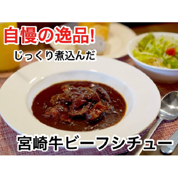看板商品！宮崎牛ビーフシチュー　お取り寄せ　1人前(200g )