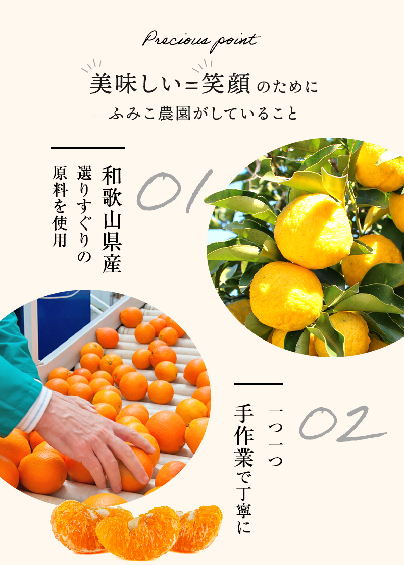 和歌山県産 果実の宝石箱 フルーツコンポート ハーフ3本セット