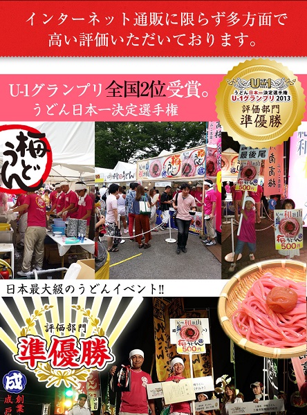 紀州冷し梅うどん 4食スープ付