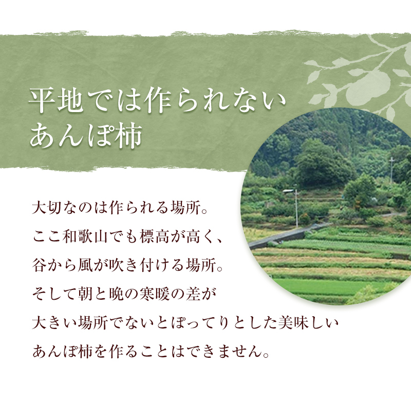 無添加 あんぽ柿（干し柿） 約55g 8個入