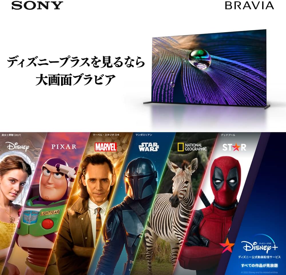 ソニー 55V型 4K X80WKシリーズ 液晶 テレビ ブラビア KJ-55X80WK Google TV Dolby Atmos対応 8畳以上推奨 2022年モデル